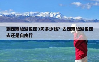 到西藏旅游报团3天多少钱？去西藏旅游报团去还是自由行