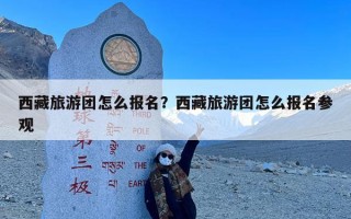 西藏旅游团怎么报名？西藏旅游团怎么报名参观