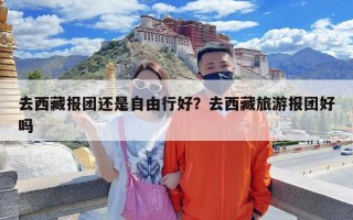 去西藏报团还是自由行好？去西藏旅游报团好吗