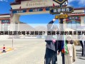 西藏旅游攻略羊湖报团？西藏羊湖的美景图片