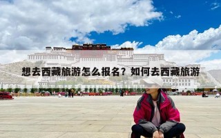 想去西藏旅游怎么报名？如何去西藏旅游