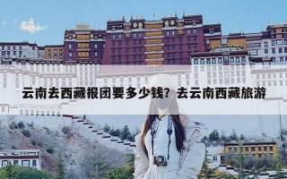 云南去西藏报团要多少钱？去云南西藏旅游