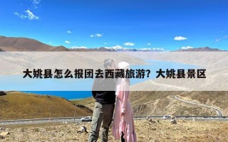 大姚县怎么报团去西藏旅游？大姚县景区