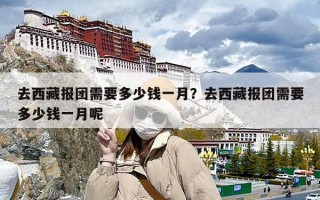 去西藏报团需要多少钱一月？去西藏报团需要多少钱一月呢